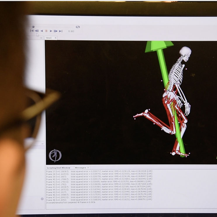 skeleton on screen for study of biomechanics