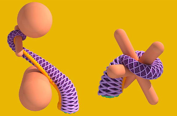 simulated model octopus arms wrapping around balls