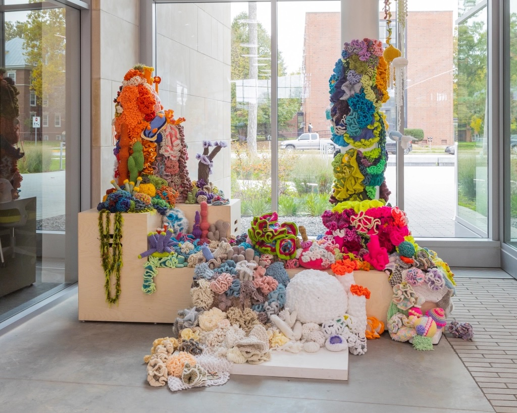 crochet coral reef on display
