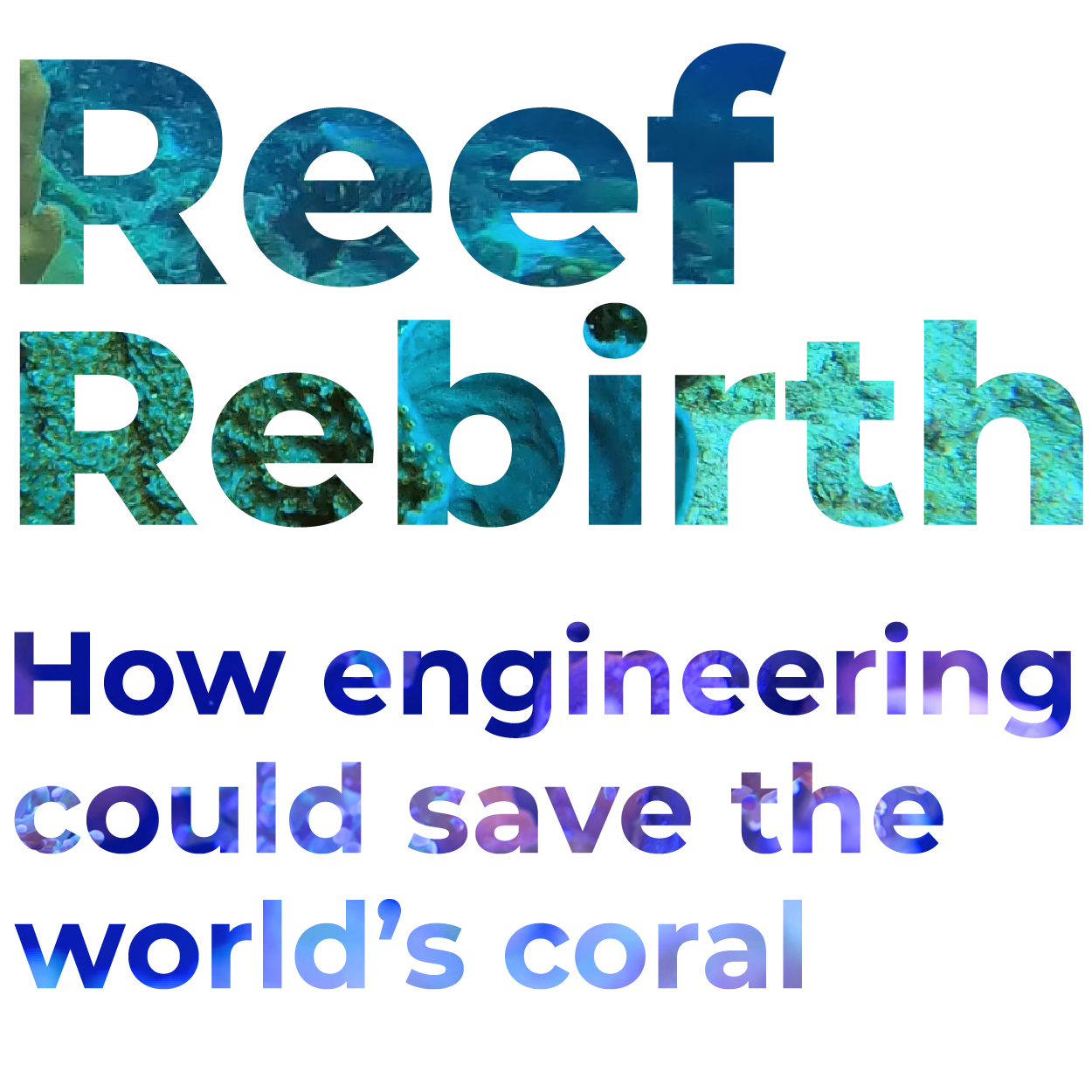 Reef Rebirth: How engineering could save the world's coral