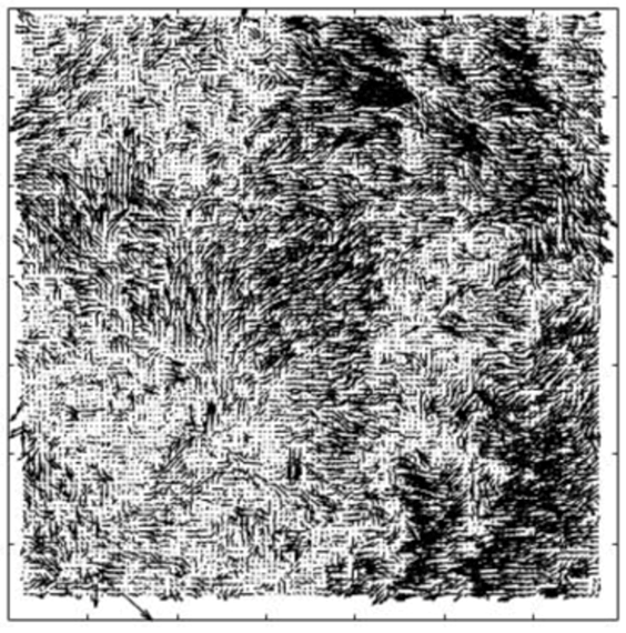 A snapshot of homogenous-isotropic turbulence with Laponite in water.