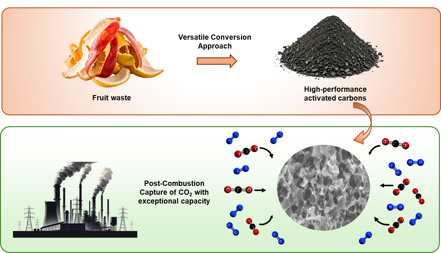 diagram showing fruit waste turned in to high-performance activated carbons
