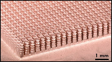 Photograph of the fabricated TO fin array on a copper base. Scale bar, 1 mm.