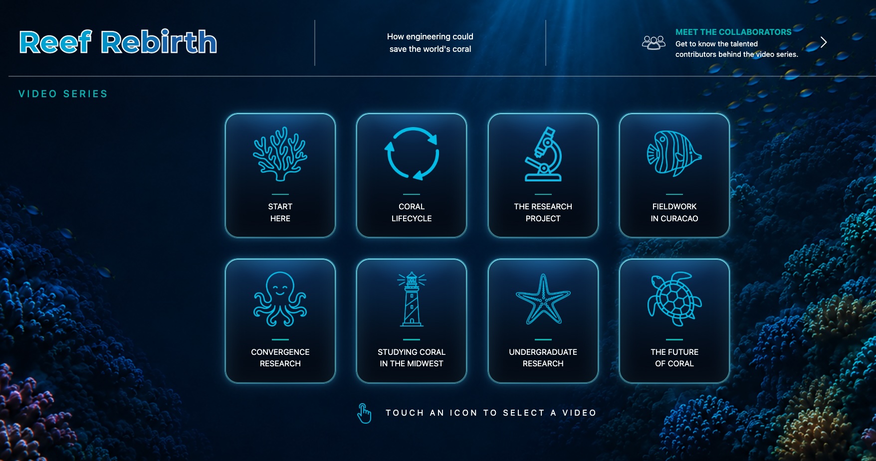 screenshot of the iPad interface, options to view each video