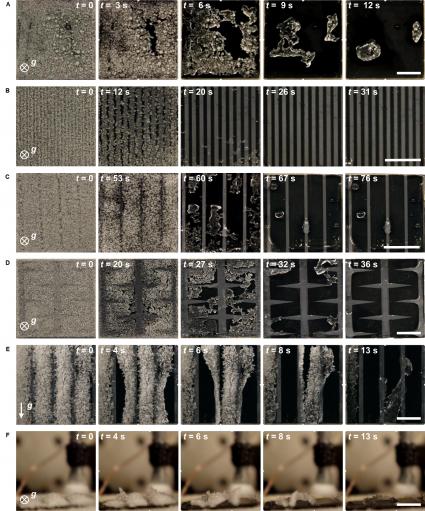 Time-lapse images of dynamic defrosting on superhydrophobic and biphilic surfaces. The time t = 0 represents the instant when melting of frost was first observed visually.