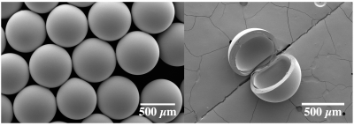Scanning electron micrographs of intact, left, and ruptured microcapsules with a polymeric shell wall and an aqueous core. 