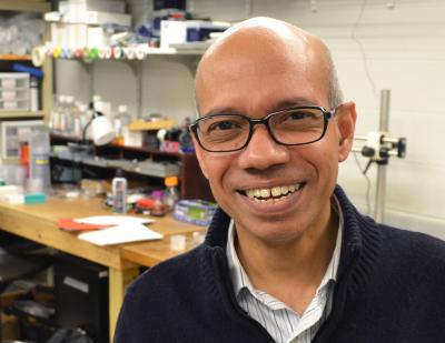 Professor Taher Saif