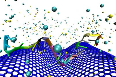 Illinois researchers found that crumpling graphene in DNA sensors made it tens of thousands of times more sensitive, making it a feasible platform for liquid biopsy. Image courtesy of Mohammad Heiranian