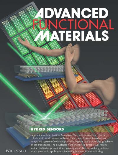 SungWoo Nam and Peter Snapp's work was featured in Advanced Functional Materials.