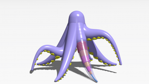 A simulation of the complex muscular architecture of an octopus. (Image provided by Cathy Shih, PhD student from the Gazzola group).