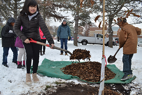 King students shovel mulch on the Shingle Oak tree planted next to the school in King Park as part of the Paper2Tree project. (photo by Elizabeth Innes)