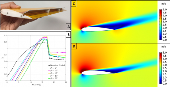 A: 2D wing section prepared for wind tunnel experiments to investigate the deployable flap effect on lift production.  B: Wind tunnel results showing lift coefficient versus wing angle of attack. The deployable flap improves lift by up to 38% when deployed at high angles of attack.  C and D: CFD simulations showing the velocity field around the two-dimensional wing section without and with a cover-inspired flap, respectively. The covert-inspired flap reduces the velocity deficit and delays the point of flow separation.