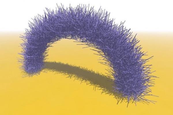 Organizing the Randomness: â€œGranular materials such as packing of randomly organized rods have been studied experimentally, while numerical methods are yet to be established. Our simulation approach captures the dynamics of elastic rods and contact physics, enabling the design of new granular materials and structures with desired mechanical properties.â€