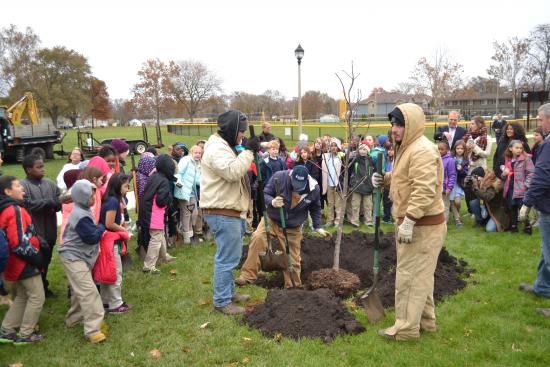 The Champaign Park District and the students of BTW School plant a Buckeye tree in Douglass Park. 