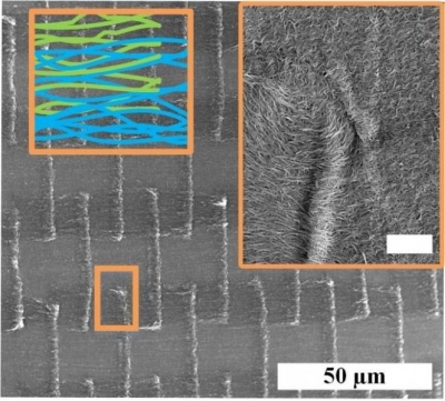 Scanning Electron Microscope Images of architectured carbon nanotube (CNT) textile made at Illinois. Colored schematic shows the architecture of self-weaved CNTs, and the inset shows a high resolution SEM of the inter-diffusion of CNT among the different patches due to capillary splicing.