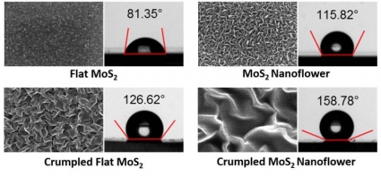 Images of atomically thin MoS2 with micro- and nano-scale roughnesses and their corresponding water contact angles.