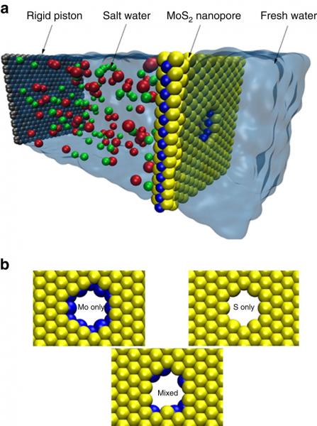 Simulation box and different pore architectures.