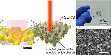 Schematic illustration of SERS enhancement from a crumpled graphene&minus;Au NPs hybrid structure. Raman spectrum is enhanced the most when the target molecule is situated at the center of Au NPs in valley of crumpled graphene as depicted in inset.