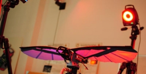 One of Wissa's &quot;bird&quot; UAV prototypes, with motion capture technology in the background. 