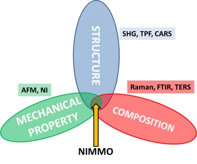 Conceptual model describing significance of NIMMO to biological studies. The various imaging and spectroscopic instrument modalities enabled by the instrument are indicated.