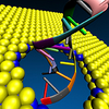 Animated image of a DNA strand separating and passing through an MoS2 pore.