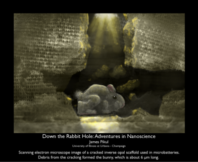 Pikul's &quot;art as science&quot; interpretation, titled &quot;Down the Rabbit Hole: Adventures in Nanoscience.&quot;