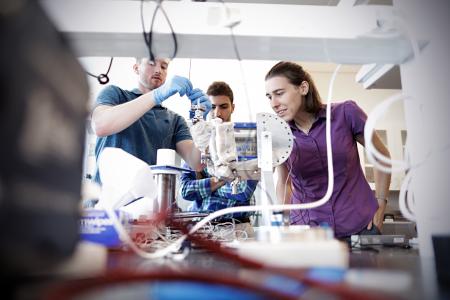 Dr. Patricia Weisensee, right, with students in her research lab at Washington University St. Louis. Photo credit James Byard, Office of Public Affairs, Washington University St. Louis.