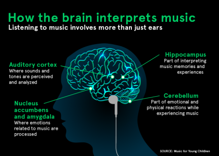 how the brain interprets music. Image from Music for Young Children.