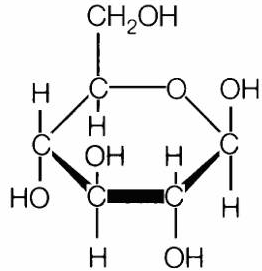 Molecular structure of glucose. Image in the public domain.