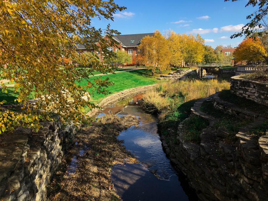 Boneyard Creek in early November sun.