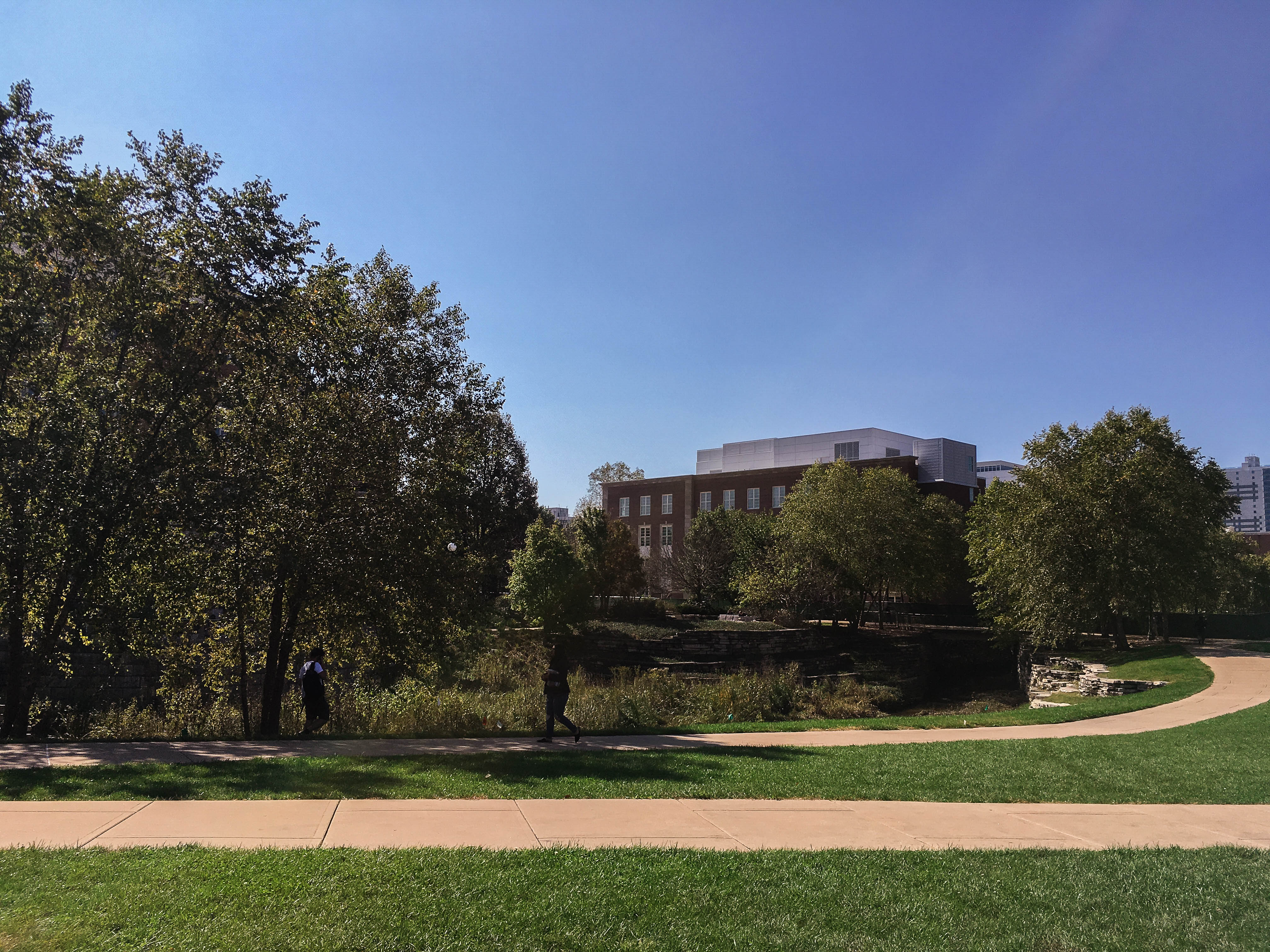 A sunny day on the main quad after days of rain.