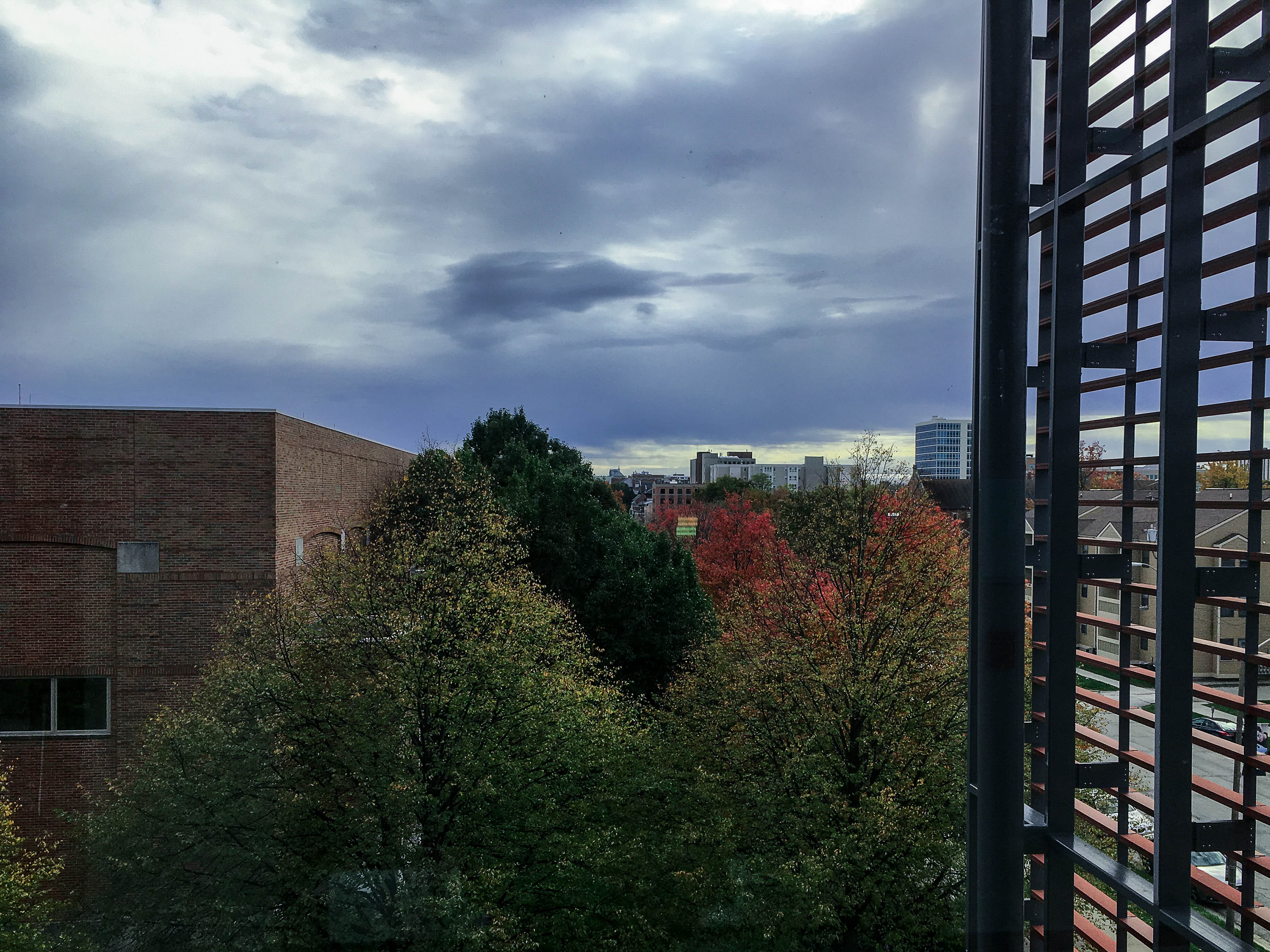 Fall colors on trees south of ECE Building.
