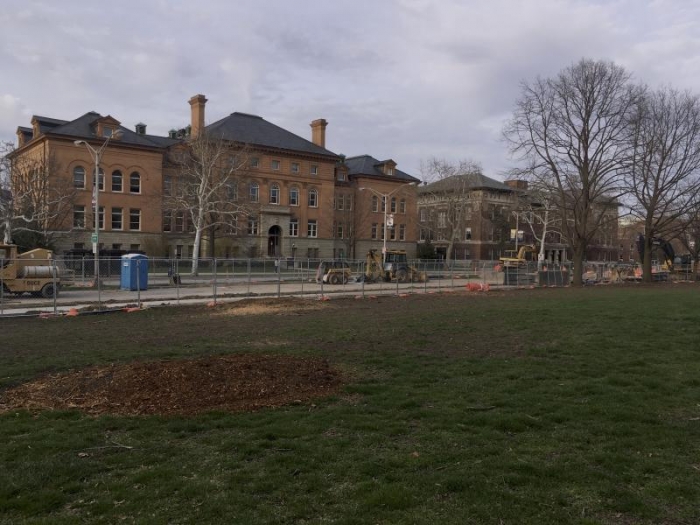 Construction on Green St. began outside the Illini Union. The bushes and trees that previously lined the north sidewalk were removed.