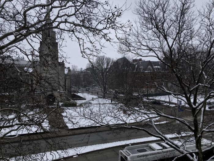 Middle of March snow from the third floor of MEB.