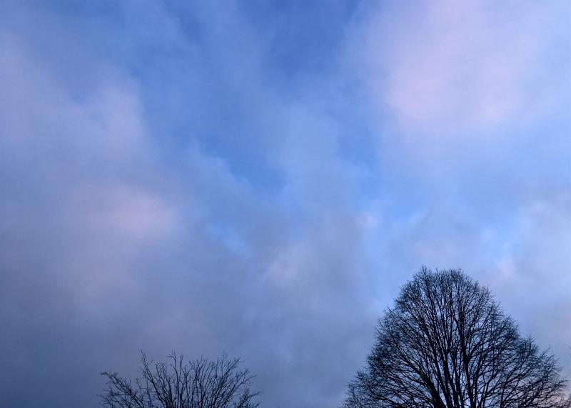 Blue sky showing through a high ceiling over Green Street near MEB.