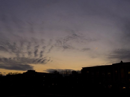 Photo by Taylor Tucker.