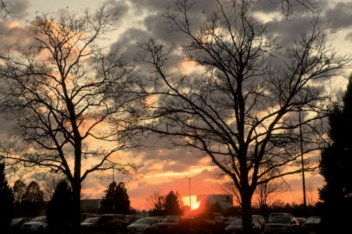 November 14 sunset as seen from First and Kirby, Champaign. Photo by Taylor Tucker. 
