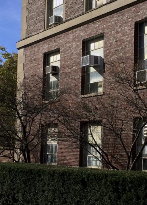 A cardinal rests in the sun outside Talbot.