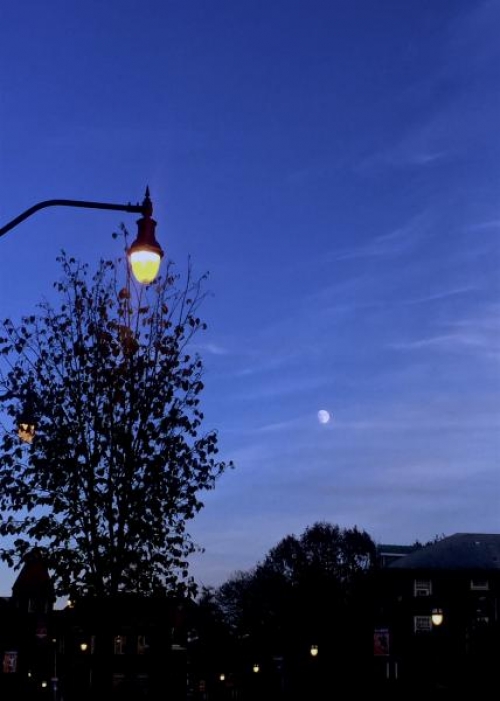 Moonrise over Altgeld Hall.