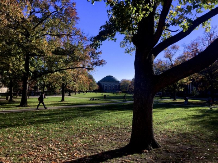 A sunny afternoon on the main quad.
