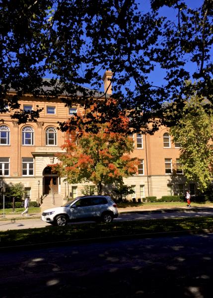 Tree in transition in front of Engineering Hall.