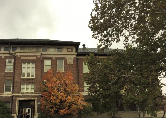 Orange tree by MSEB as seen from outside MEB.