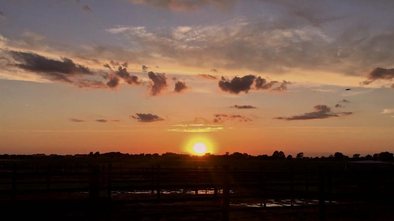 View of the sunset from Tolono.