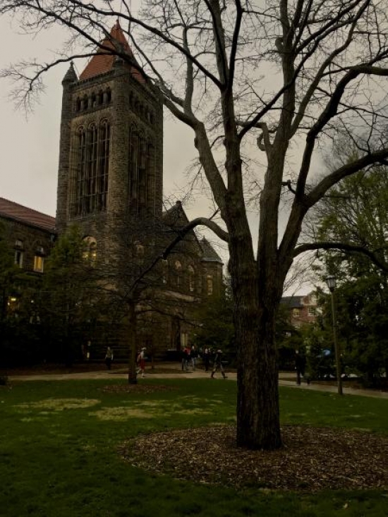 Outside Altgeld Hall on a rainy day.