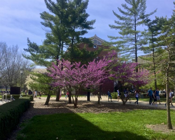 A spring scene and sunny day behind Altgeld Hall.