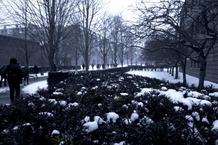 Looking north toward the Beckman Quad from outside the Digital Computer Laboratory.