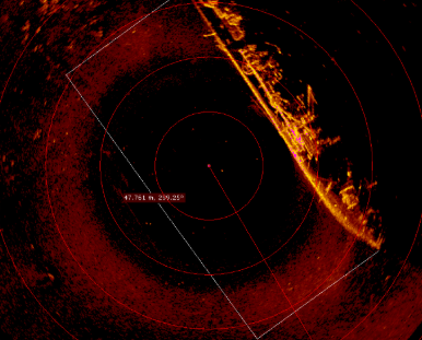 This sonar image shows a sunken ship.