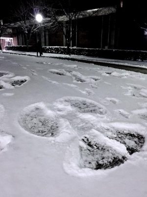 Snow angels on the Beckman Quad.