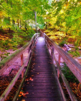 Leadership retreat: fall nature walks.
