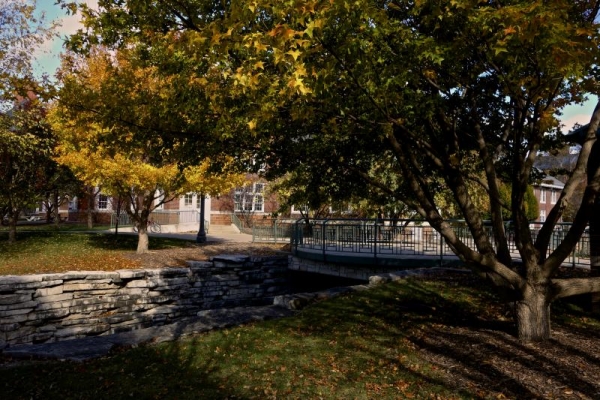 MEL from across Boneyard Creek.